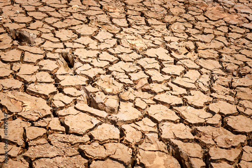 Cracked dry land without water