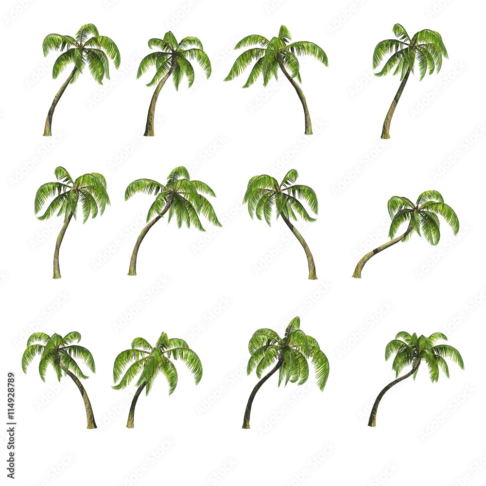 Obraz premium Sixteen palm trees, 3D render