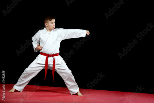 Karate martial Arts