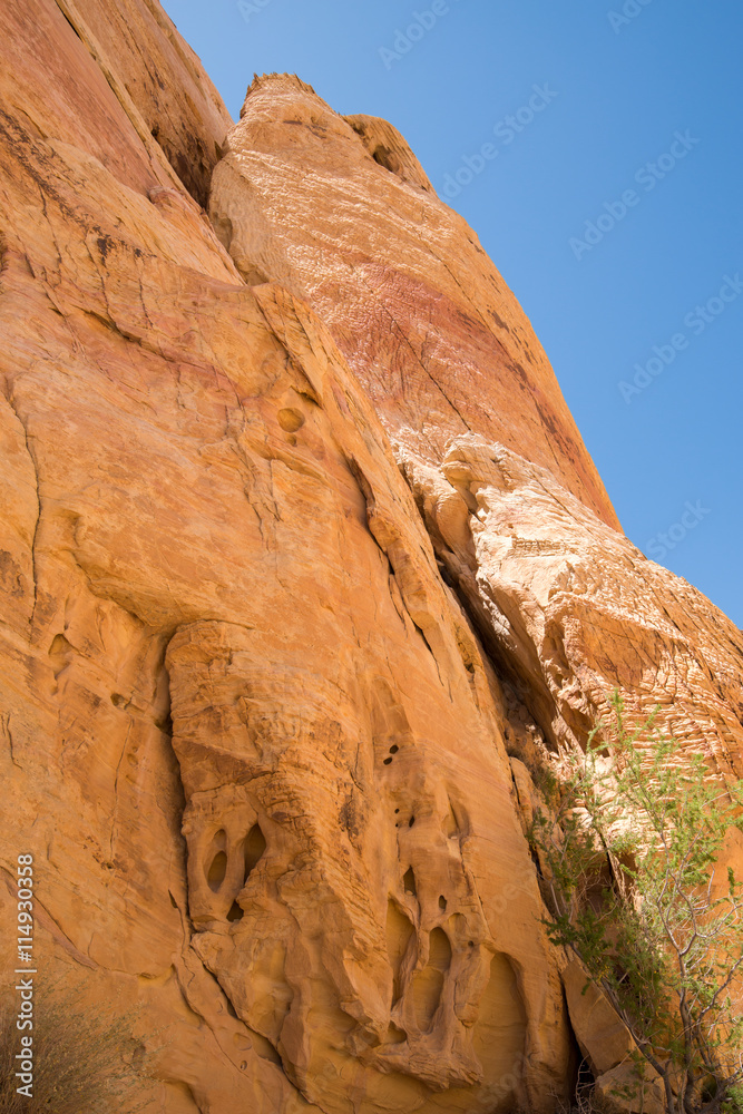 Fototapeta premium Valley of Fire State Park