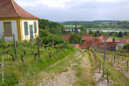 Wallpaper Mural Weg durch den Weinberg Torontodigital.ca