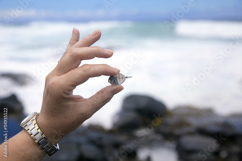Holding a fossilized fish