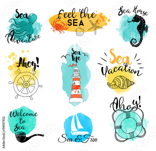 watercolor of sea life