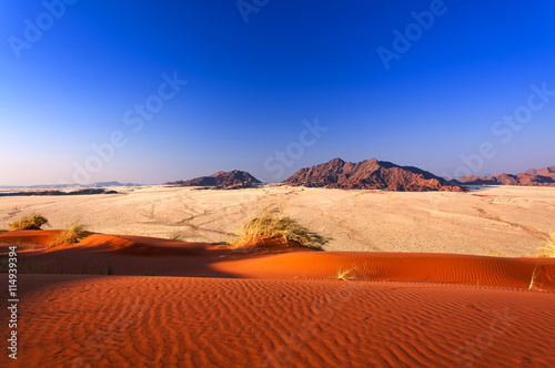 Detail of a red dune in Namibia, Africa