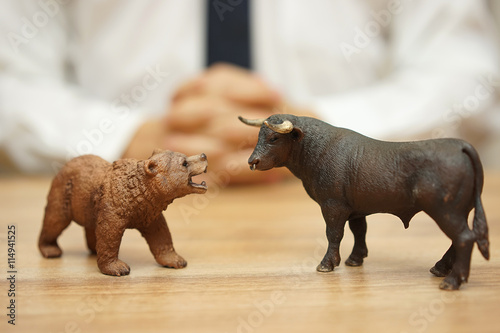 concept of stock market and investing, bull and bear are watchin photo