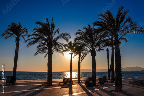 Silhouette of palm trees at sunset. Seafront of Salou, Spain.