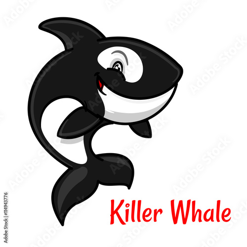 Cartoon black and white killer whale or orca