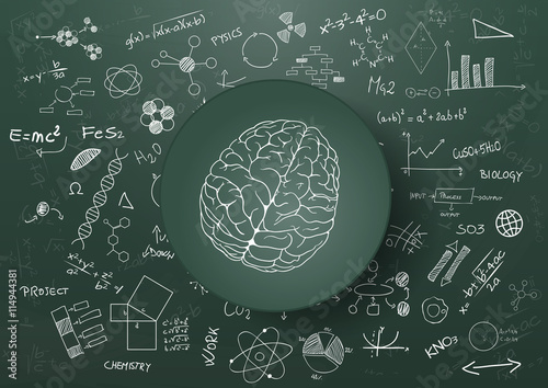 brain science chalkboard