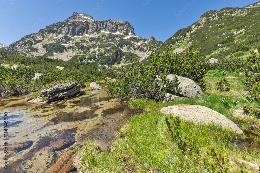 Summer view of Dzhangal peak and Banski lakes, Pirin Mountain, Bulgaria