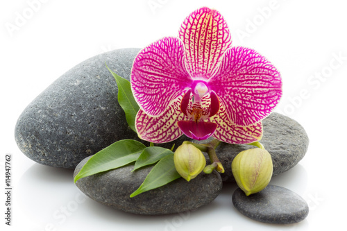 Spa stones