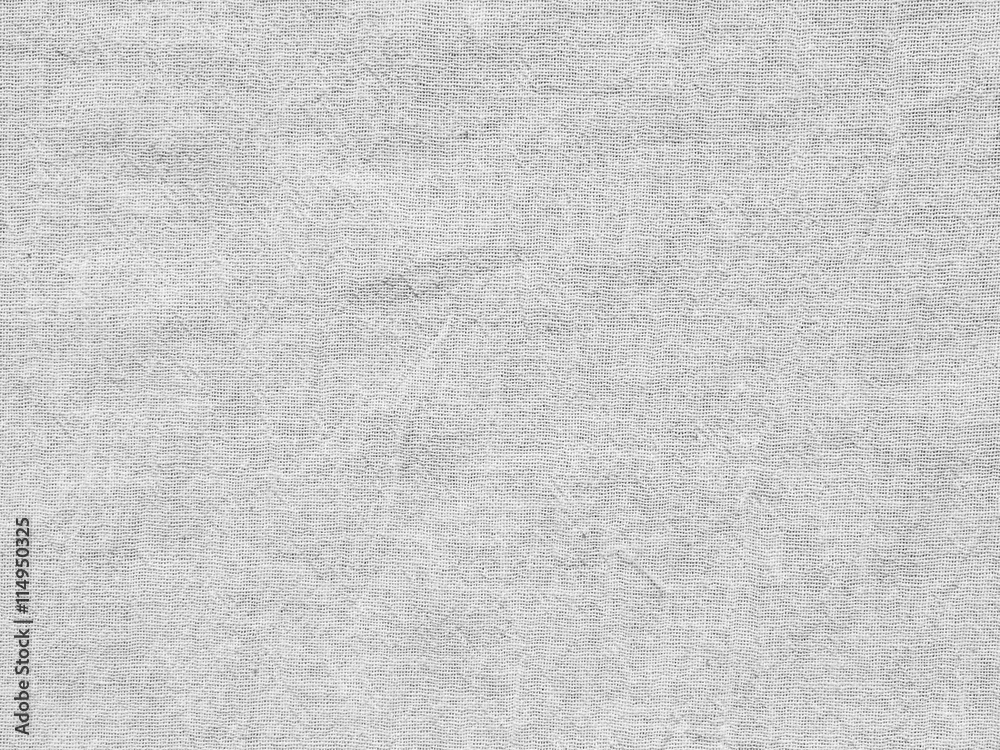 White Canvas texture White Canvas texture