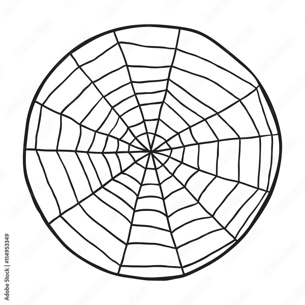 Obraz premium Doodle spiderweb isolated on white background. Vector