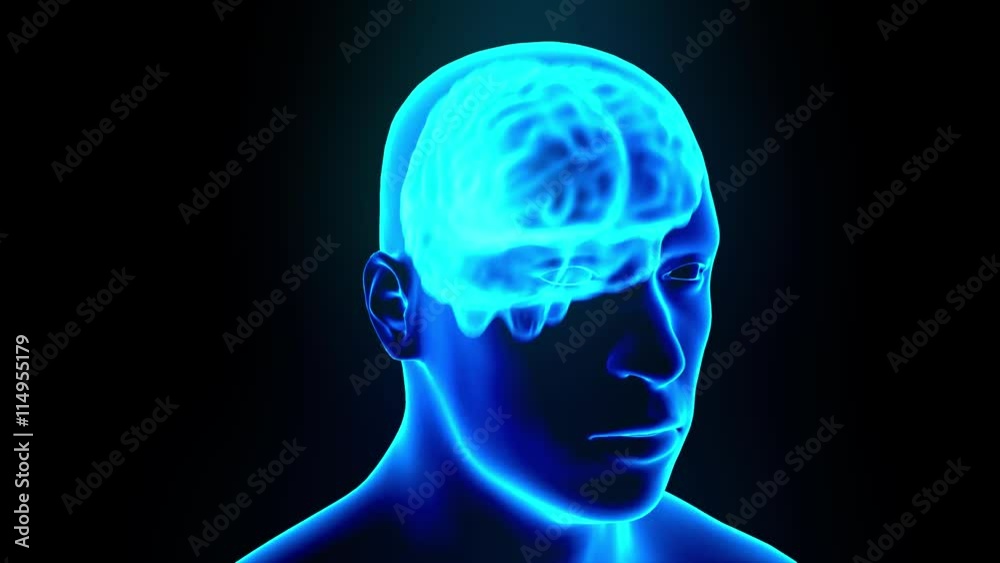 Brain hologram with head rotating loop 4k
Brain hologram with head rotating loop 4k