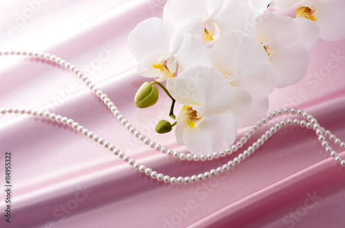 Fototapeta Naklejka Na Ścianę i Meble -  胡蝶蘭