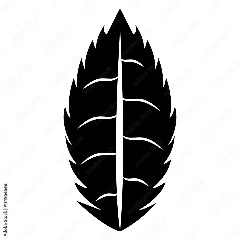 Black and white leaf isolated icon design ecology theme, vector illustration. Black and white leaf isolated icon design ecology theme, vector illustration.