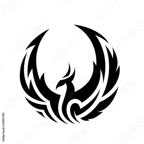 Phoenix logo,Eagle logo,Brand identity white bird and wing concept.