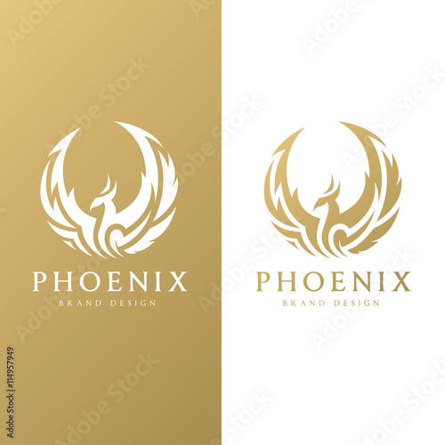 Phoenix logo,Eagle logo,Brand identity white bird and wing concept.