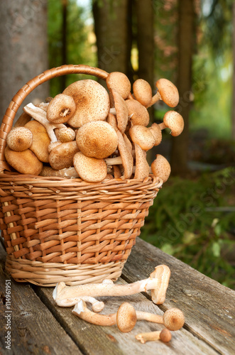 Basket with mushrooms on the table