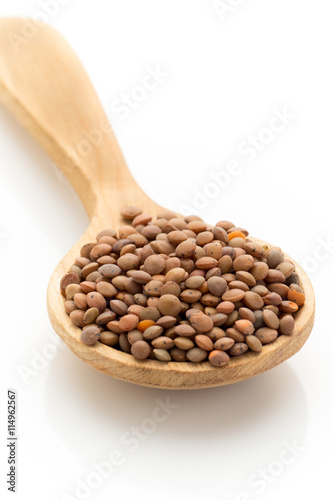 Lentil. photo