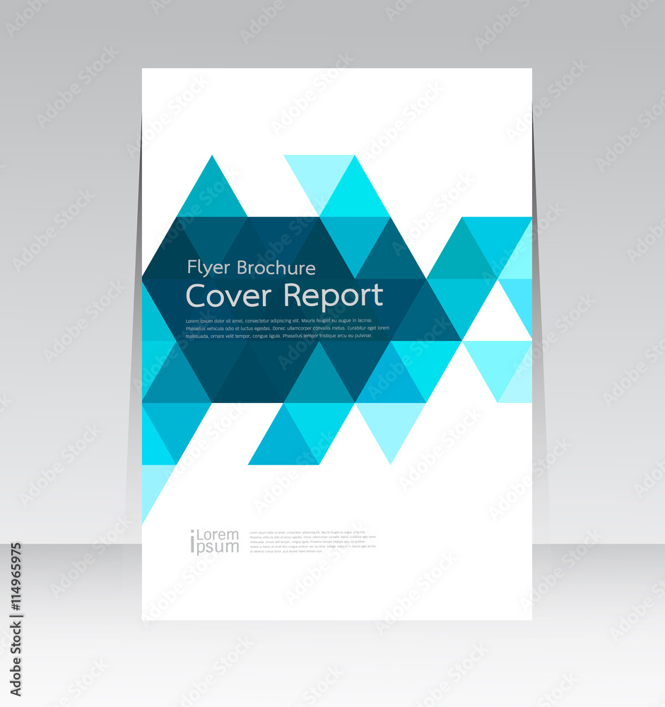 Fototapeta premium Vector design for Cover Report Annual Flyer Poster in A4 size