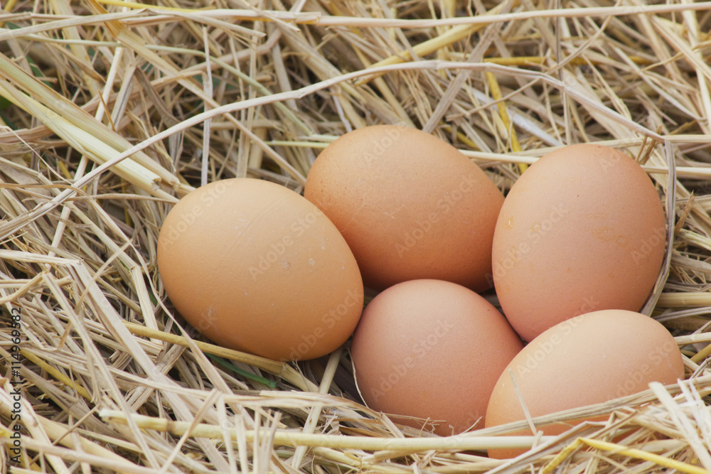 Horizontal photo of several hen eggs which are placed on nice haystack from dried straws and inside wicker basket. Light wooden wall is in background. . Horizontal photo of several hen eggs which are placed on nice haystack from dried straws and inside wicker basket. Light wooden wall is in background. .