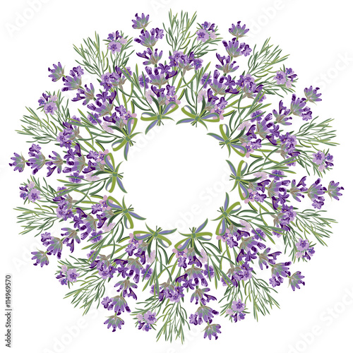 Hand drawing lavender floral mandala  zentangle element.