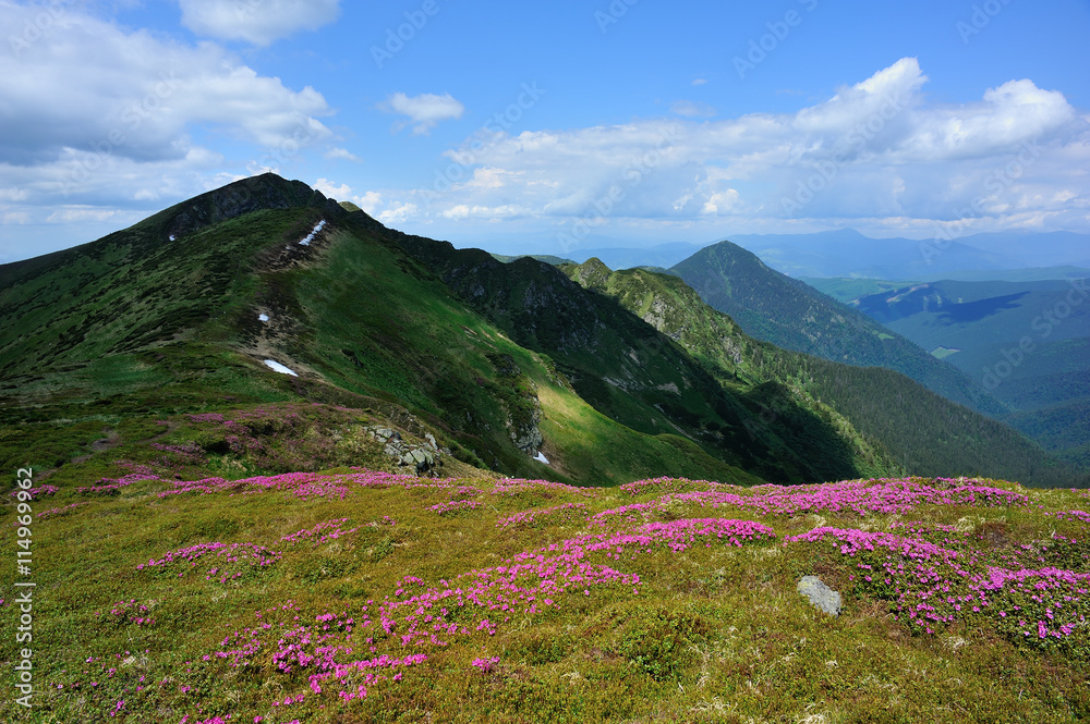 Fototapeta premium Summer mountains