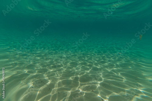underwater landscape