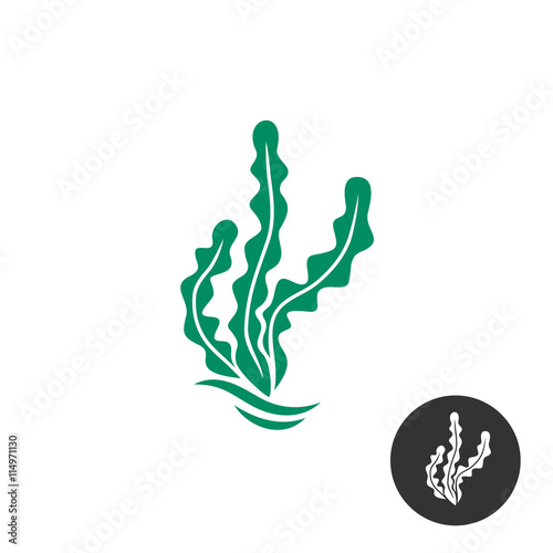 Seaweed vector logo template. One black color monochrome version included.
