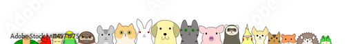 Pet animals banner