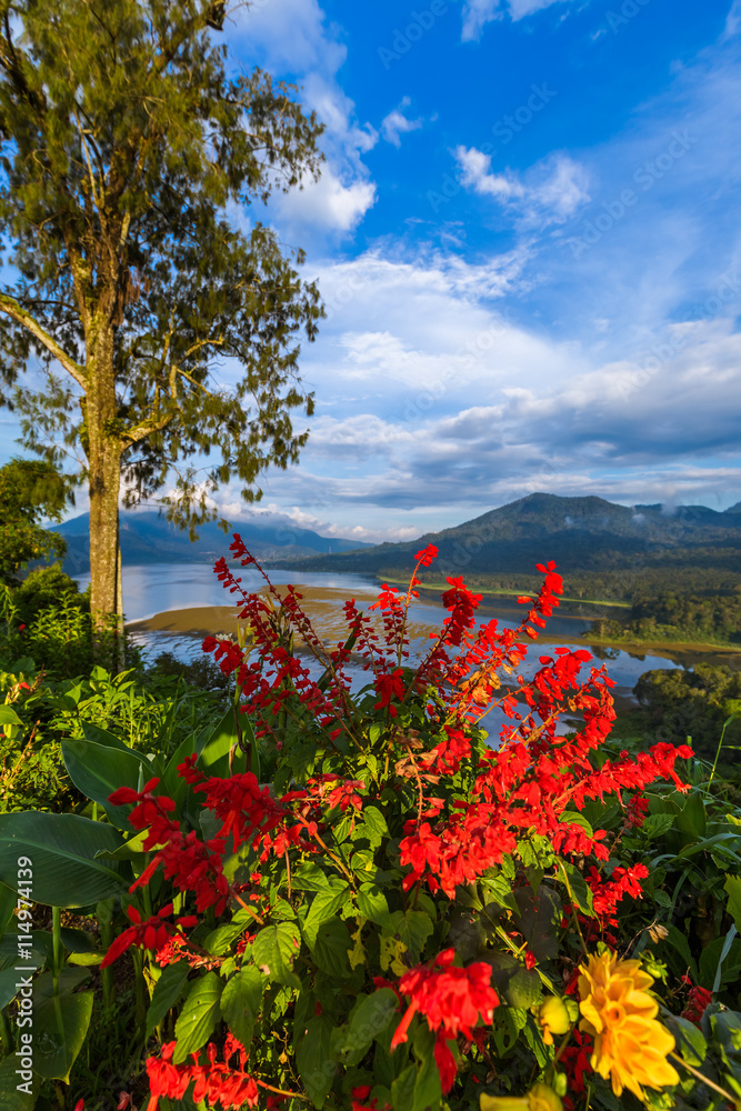 Poster de jardin avec Lake Buyan - Bali Island Indonesia #114974139