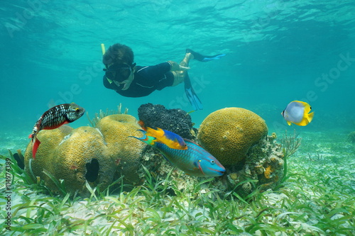 Man snorkeling underwater looking coral with tropical fish, Caribbean sea