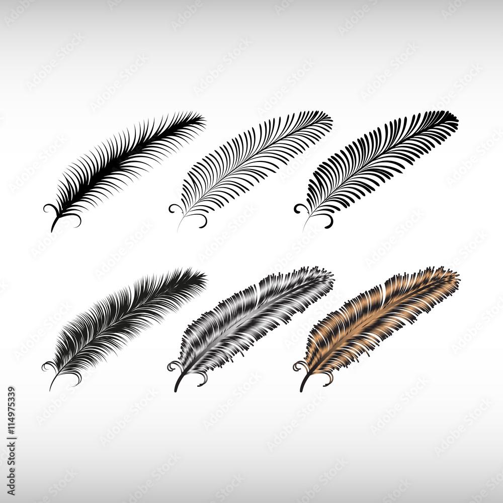 Set of decorative animals feathers. Hand drawn vector art. Set of decorative animals feathers. Hand drawn vector art.