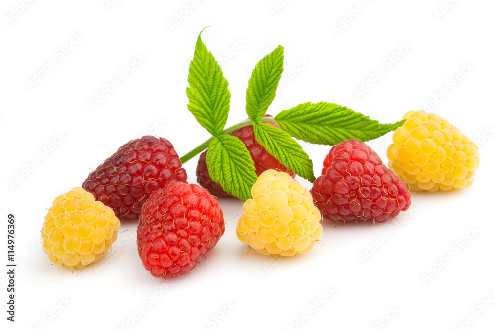 Raspberries isolated on white Raspberries isolated on white