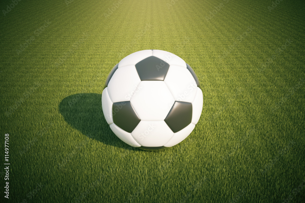 Fototapeta premium Football on grass
