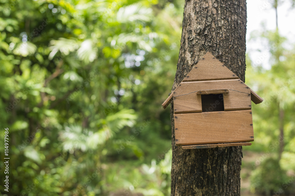 bird house in tree bird house in tree