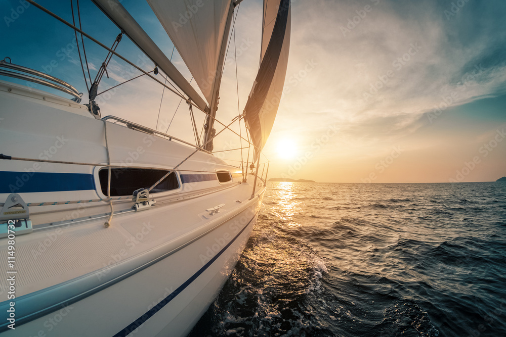 Obraz premium Sailing yacht