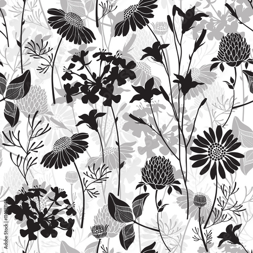 Fototapeta Naklejka Na Ścianę i Meble -  Seamless pattern with meadow flowers on white background.  Monochrome vector illustration.
