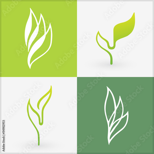 Organic icons elements. Bio set of four differently designed leaves. Sample of vector illustration design. Best used for logos, advertisement, and to promote healthy products.