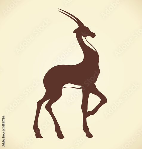 Antelope. Vector drawing