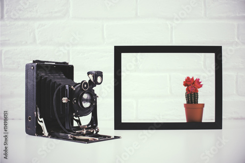 Retro camera and cactus