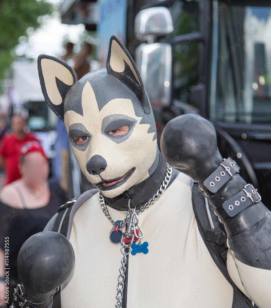 CSD 2016 StockFoto Adobe Stock