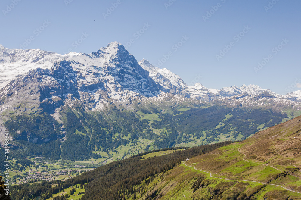 Fototapeta premium Grindelwald, Schweizer Berge, Alpen, Eiger, Eigernordwand, Kleine Scheidegg, Berner Oberland, First, Wanderweg, Sommer, Schweiz