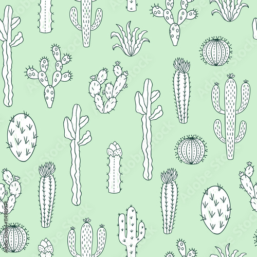 Cactus vector pattern. Seamless background with plants: cactus and succulents