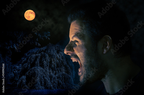 Mann schreit um Mitternacht bei Vollmond photo