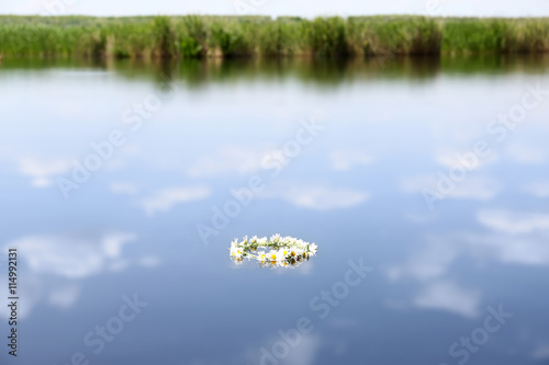 Fototapeta Naklejka Na Ścianę i Meble -  Chamomile wreath on water