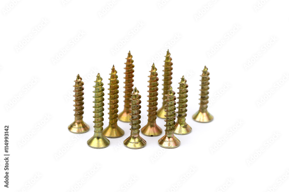 Scattered wood screws isolated on white background Scattered wood screws isolated on white background