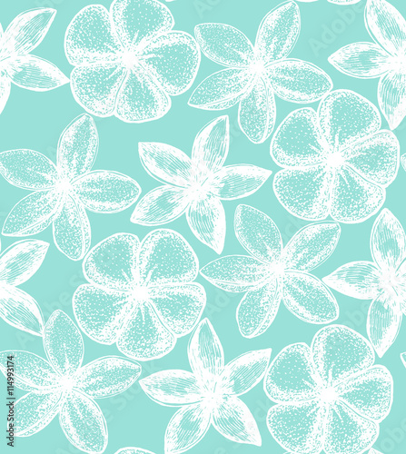 vector floral background with frangipani