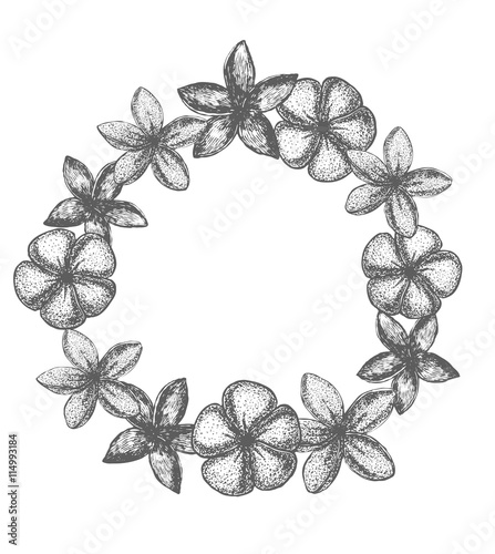 Fotografía vector frangipani garland