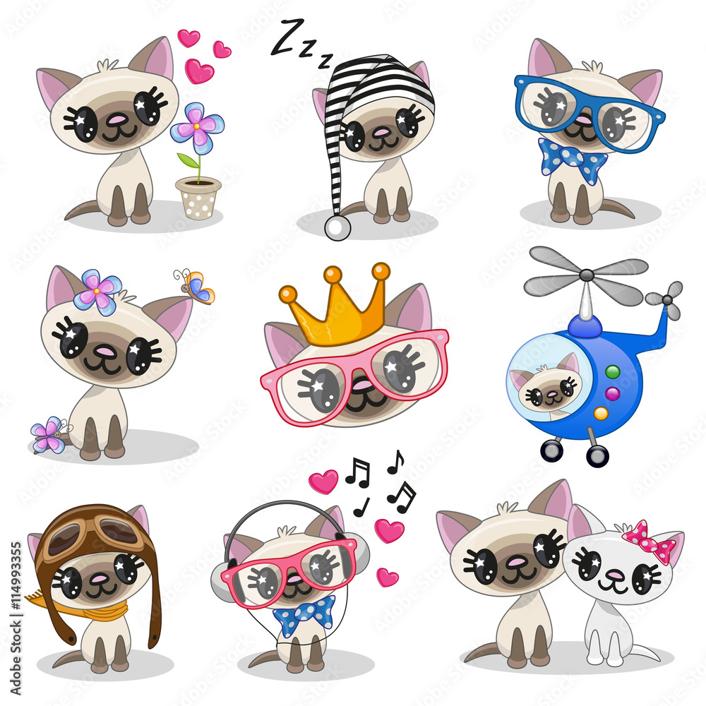 Pin by 心琳 蔣 on 999 | Cute cat wallpaper, Kitten drawing, Cute anime cat-demhanvico.com.vn